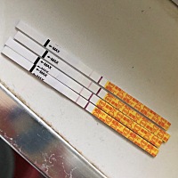 没有测排卵期，app显示是20号左右