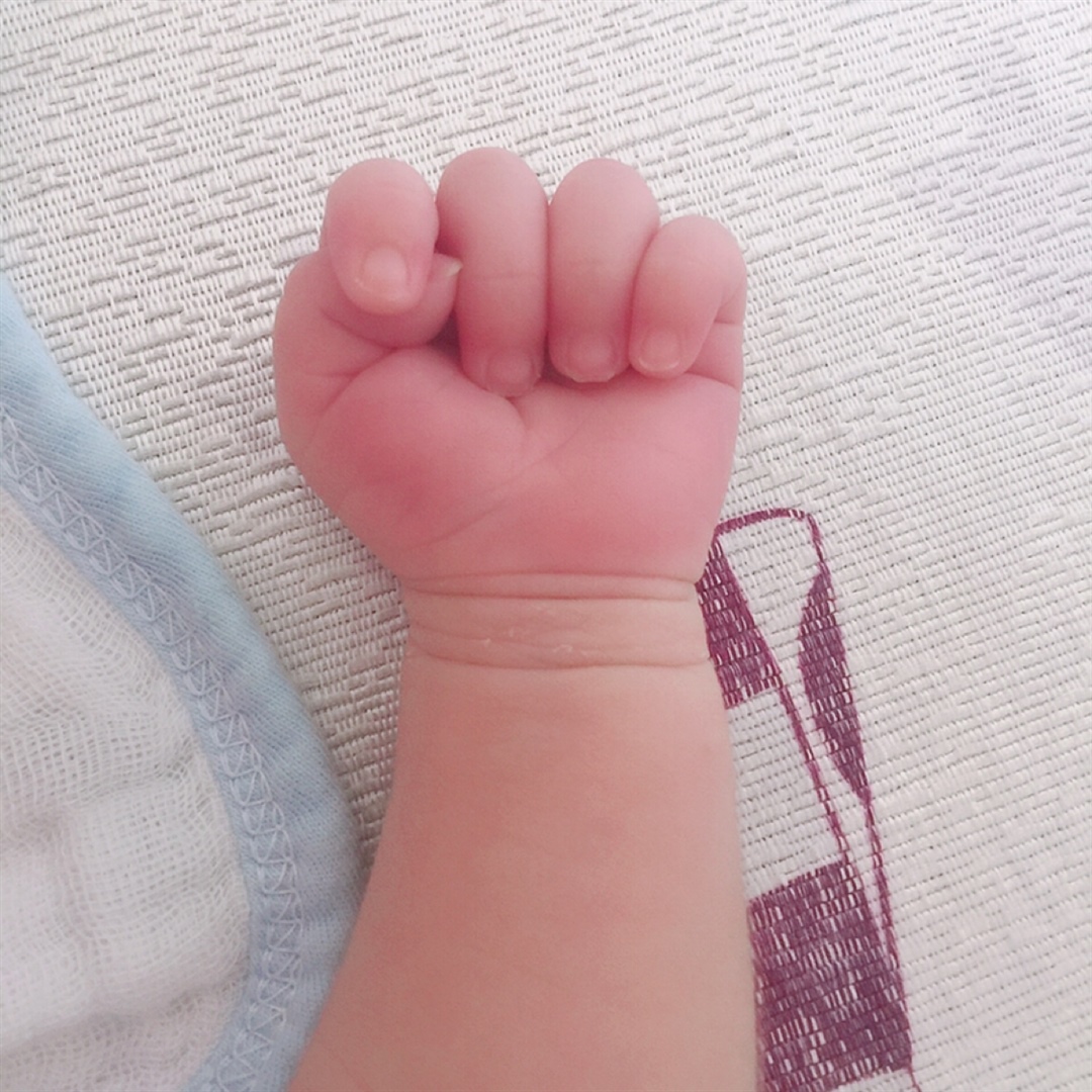 胖嘟嘟的小手