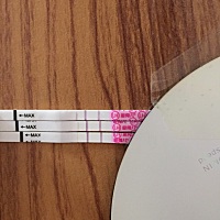 连续两天强阳正常吗？ 七月好孕！