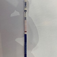 26号左右排的卵，今天早上测的