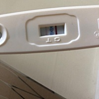 这是怀孕了吗