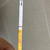 24排卵，今天还是白板，有希望吗