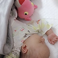 鼠宝接好孕