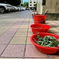 各位宝妈 请问多大的宝宝需要按时间吃饭 我的心好烦躁 我一个人带小孩 我宝宝的姥姥总是要管这管那的 虽...