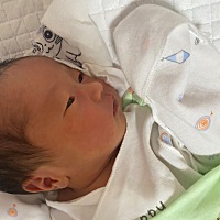 从此二人世界变成四口之家       新成员两个小公主