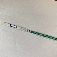 排卵第12天，麻烦帮我看看这是意念灰吗😂
