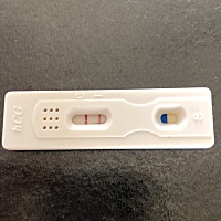 大家帮我看看这是怀上了吗，这个月月经推迟第7天了
