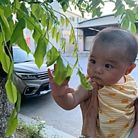 什么时候戒奶比较好？