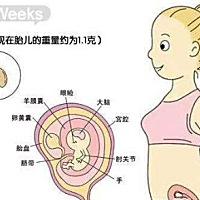 虽然怀孕的十个月间，胎宝宝一直在生长发育，但是在胎儿生长发育的过程中有5个关键期，在这5个关键期，...