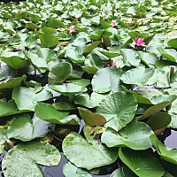 老公说我最近变化有点大，只有我自己知道为什么，最近涨工资啦，再加上副业的收入，我感觉自己底气都足...