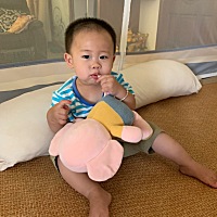 儿子和本村亲戚的孙子同一天出生，昨天家婆说，他已经在4号当了哥哥了，他妈妈在他三个月的时候怀孕了，...