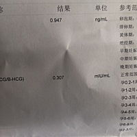 连续试了三天都是两条杠，让老公带着我去医院查血了，等了一下午结果医生说我没有怀孕，这叫什么事，啊...