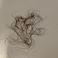 幸亏我头发多，每次洗头都这么恐怖😱的掉头发，之前一个小姐妹生完上班掉的都能看到头皮了，另一个要...