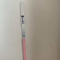 早孕试纸测了白板 无聊又测了排卵试纸 颜色比之前深了？难道又要排卵？小腹这两天有点不舒服 距离姨妈还...