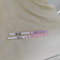 要来姨妈第二天测出来的，本来都不想测得，已经失望了半年多，但是这几天测体温都是36.9左右，今天早上3...