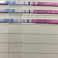 最下面的是刚测的，怎么还比昨天的淡了，第一次用排卵试纸，搞不懂，有懂得小姐姐嘛