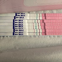最下面一条是今早测的，应该是已经排卵了，功课昨天和今天早上都安排了，坐等好消息，在落空我就在也不...