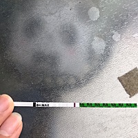 末次月经6月17日，帮忙看看是怀孕了吗？