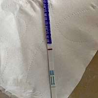 大家帮我看看是不是怀孕了
