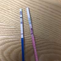 上个月6月18月经，7.4号排卵，我们从6.27开始，隔天同房一次。备孕一年了，这次是不是真的怀上了，求姐...