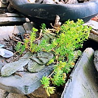 奇葩婆婆哎，娃娃生到现在22天了没来看一次。今天自己把钥匙锁在她们家里了，我们有一颗她们家的备用钥...