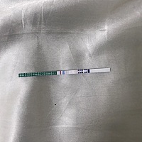 6月14来的月经到现在都没来了求宝妈们帮我看一下这是有了吗？