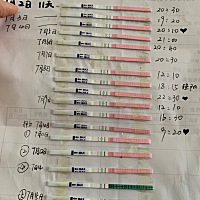 强阳后一直是弱阳，不知道是不是没有排卵