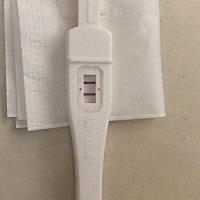下午3点左右测试的，是怀上了吗