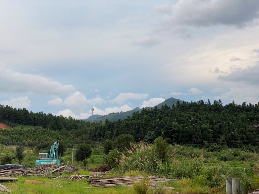 6月24末次月经，软件显示7月10日排卵日，排卵试纸没测出强阳，9号10号12号同房，7月18号早孕试纸还是白板，有同天排卵日的姐妹吗？你们怀上了吗，