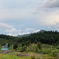 天天期待着 6月24末次月经，软件显示7月10日排卵日，排卵试纸没测出强阳，9号10号12号同房，7月18号早孕...