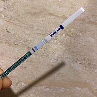 半夜睡不着玩尿，瞪大眼睛看是白板，不甘心，拿着电筒把自己眼睛照花了再看，果然有点不同🤣