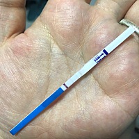 晚上睡觉又测了一遍，感觉是不是能看见两道杠杠啊？等好孕…