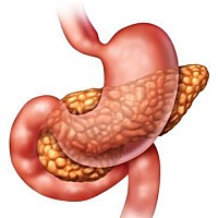 1.睡眠不沉，半夜容易哭、容易惊吓。 2.胃口不好，饭量很小，挑食不爱吃主食。 3.肠道动力减慢、大便不...