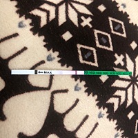 这是今天晚上测的验孕棒，不知道是否是怀孕，，千万不要来
