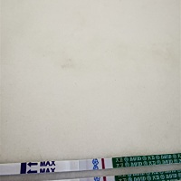 7月13号排卵，28号例假，今天24号测的，有一样时间的吗？🤗