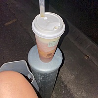 24号姨妈期 不测了，也没来大姨妈，没怀孕，不备孕了