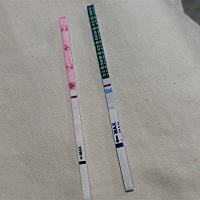 本来想测晨尿的，但是凌晨四点多了憋不住了，就测了。秀儿的早孕测试是粉色的，大卫的还是一条意念灰�...