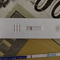 7月11日排卵日，今天26号，好像是有了，过几在试试