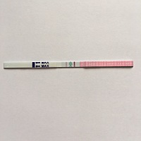 排卵试纸也能测出来吗 中午排卵试纸测的 早孕试纸测的