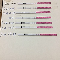 亲们今晚功课还是明早功课好呢？
