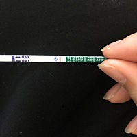 有同期排卵的吗？你们都有测到没？我的还是白板，马上就到姨妈期了😫
