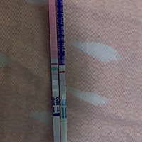 刚测的蓝色早孕试纸，粉色的排卵试纸，我心里很烦不知道是不是怀孕，好怕又失望了