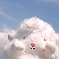 月子里情绪变化好大，看什么都不顺心，听什么话都觉得是针对我，婆婆管的说的多了我嫌烦，问得少了我又...