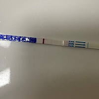 18号排卵的，今天早上测的，昨晚测了也有很淡的一条，我看别人都很浓