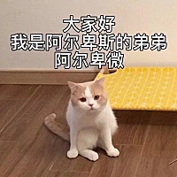 我是不是太着急了，哈哈。