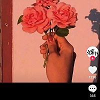 28号查出来试纸！出血之后今天越来越浅！到晚上就看不见了