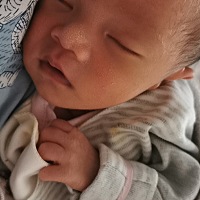 每天吃六七顿，真的是草鸡了。不吃婆婆说我，吃的话自己吃不下，真他妈烦，奶水多的每天衣服湿漉漉的。...