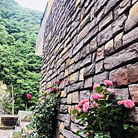 每天只睡三个小时 继续午觉睡不着 夜里不到一点后没法入睡 这神经衰弱越来越严重 我不晓得再下去能坚持...