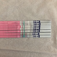 今天30号强阳了，要排卵了，备孕三个月了，希望好运！