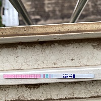 这是用晨尿测的，什么情况啊！我是11号来的例假！不应该啊！